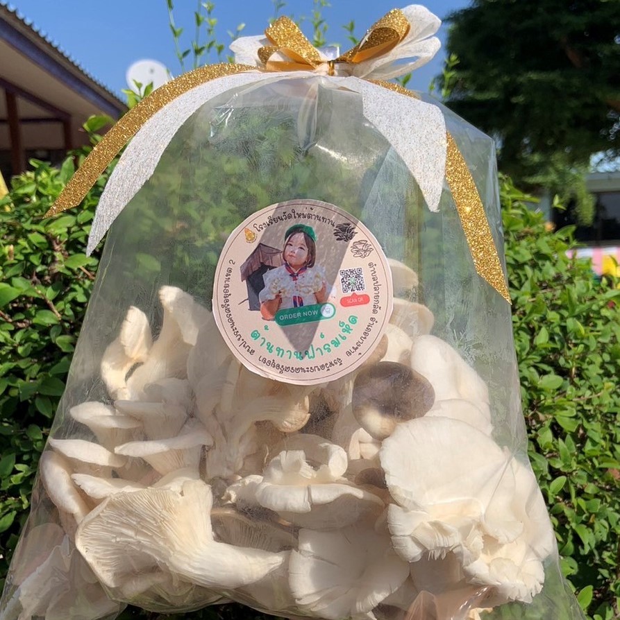 เห็ดนางฟ้าภูฐาน