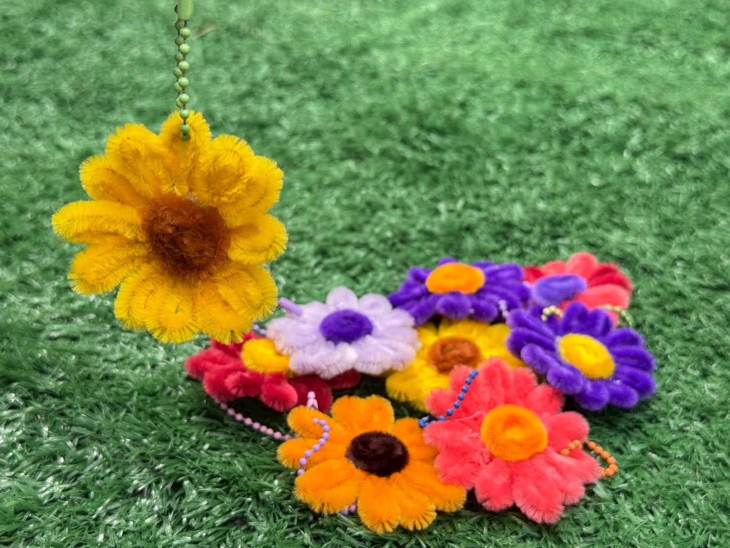 รูปภาพหลักของ ดอกเดซี่