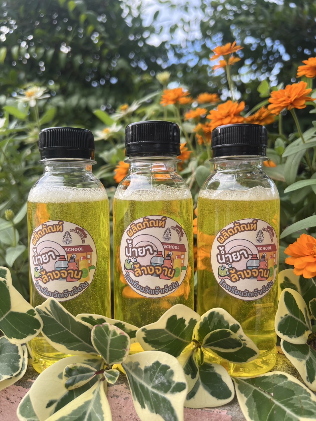 รูปภาพหลักของ น้ำยาล้างจาน