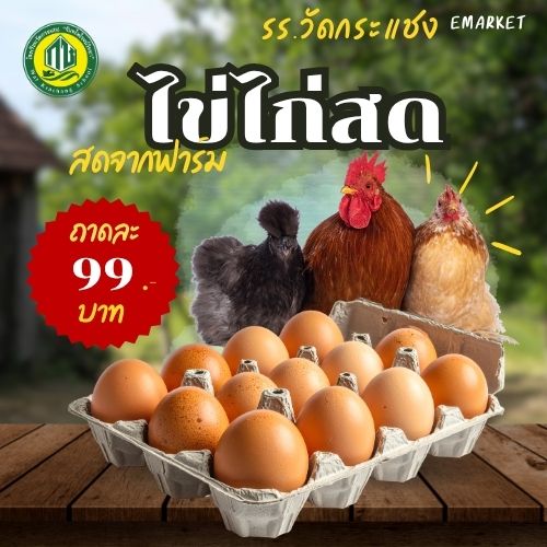 ไข่ไก่สด 🐔