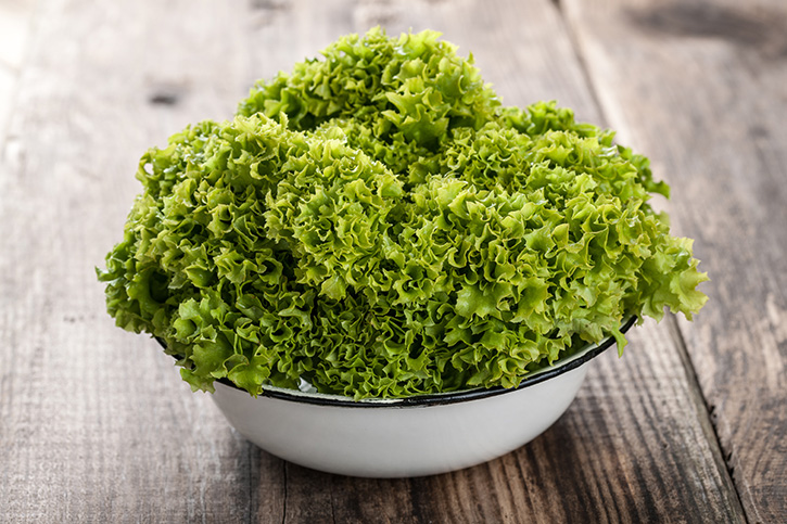 ผักสลัดไฮโดรโปนิกส์