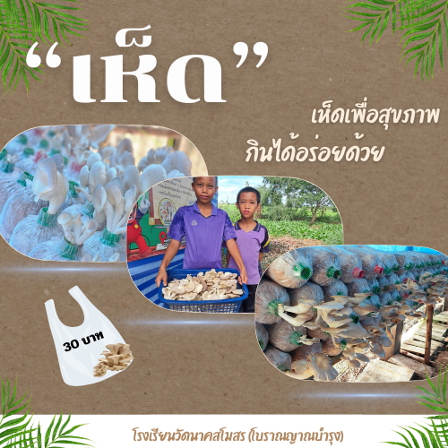 เห็ดมาแล้วจ้า