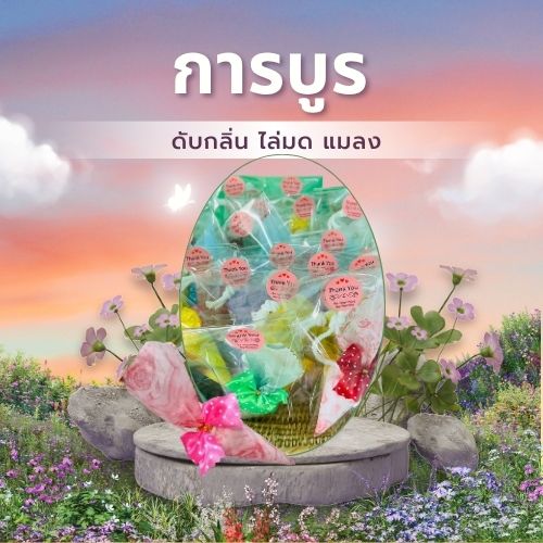 รูปภาพหลักของ การบูร