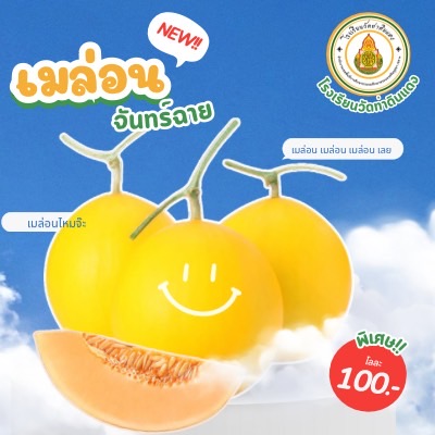 เมล่อนจันทร์ฉาย (Chunchai Melon)