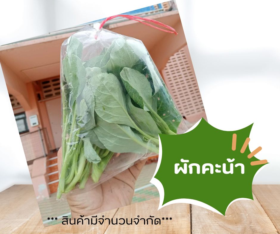 ผักคะน้า