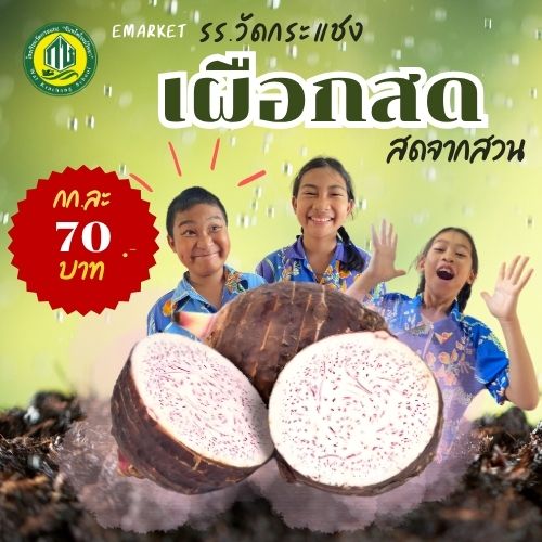 เผือกสด 🌱