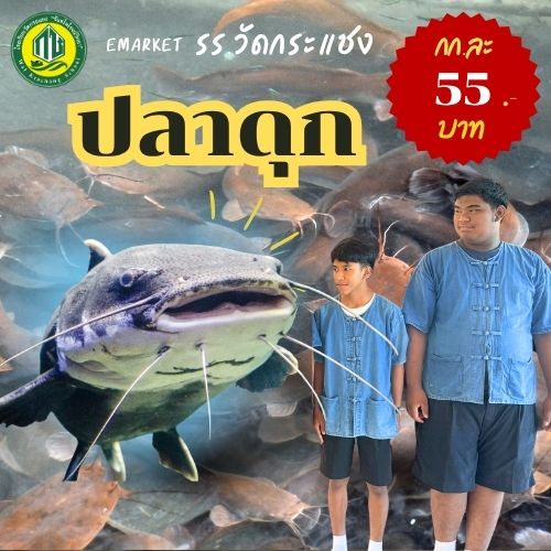 ปลาดุกสด 🐟