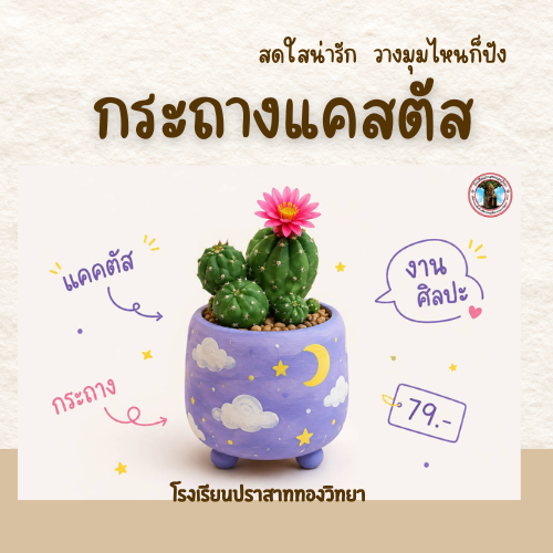 กระถางแคดตัส 4