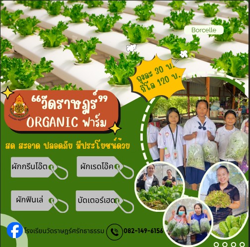 ผักปลอดสาร Organic Farm ไอโดรโปนิกส์