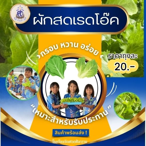 ผักเรดโอ๊ค