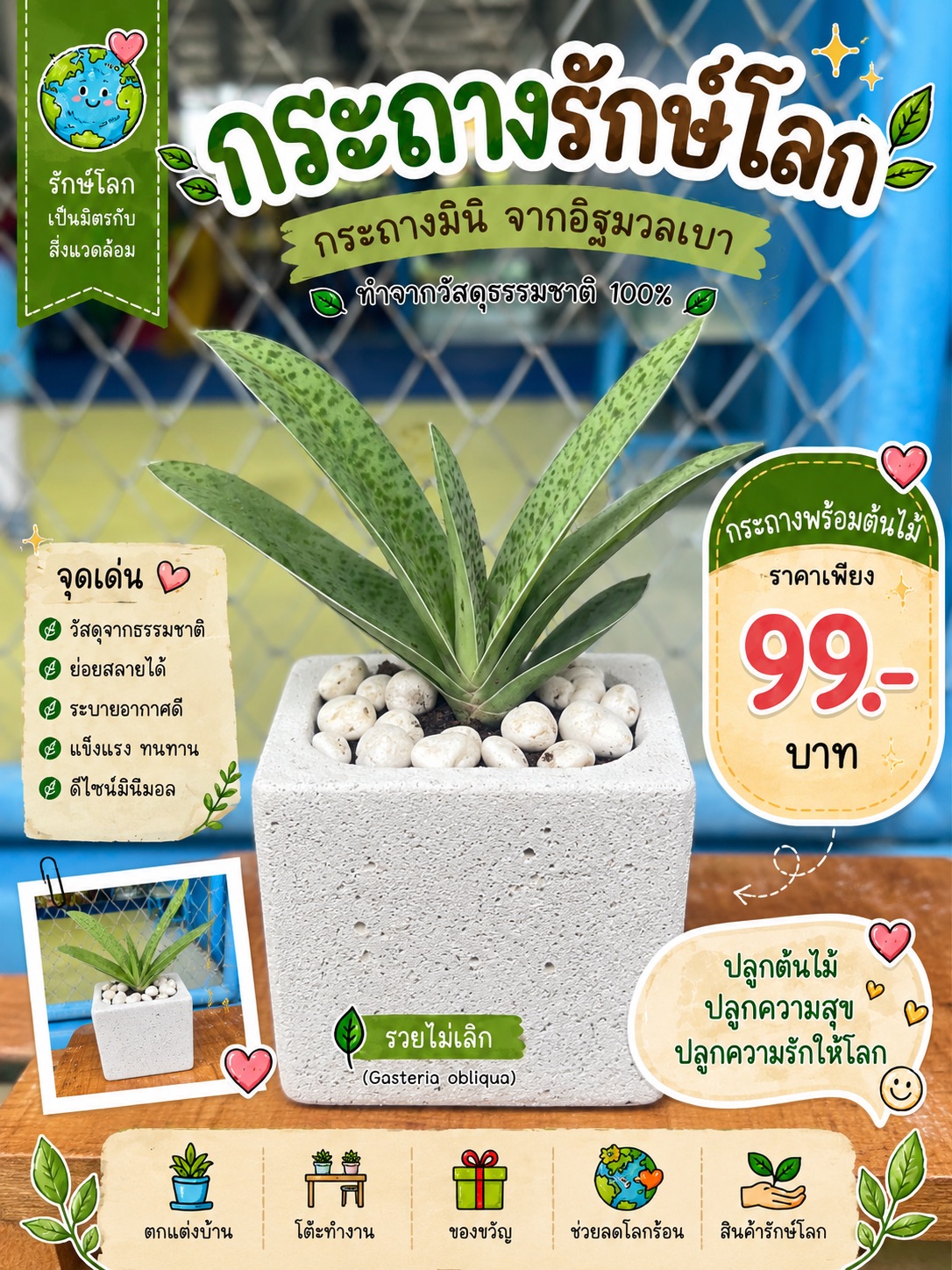 กระถางมินิ (ต้นรวยไม่เลิก)